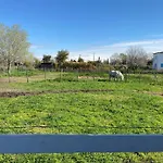 Les Maisons Du Paty
