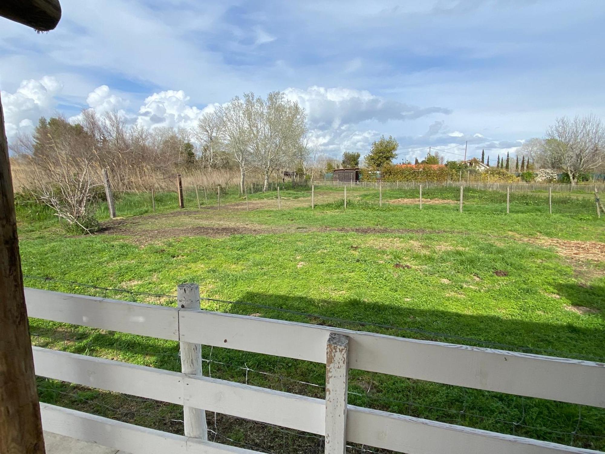 Les Maisons Du Paty Holiday home